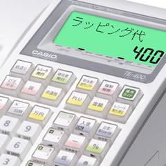 CASIO 電子レジスター TE-400-